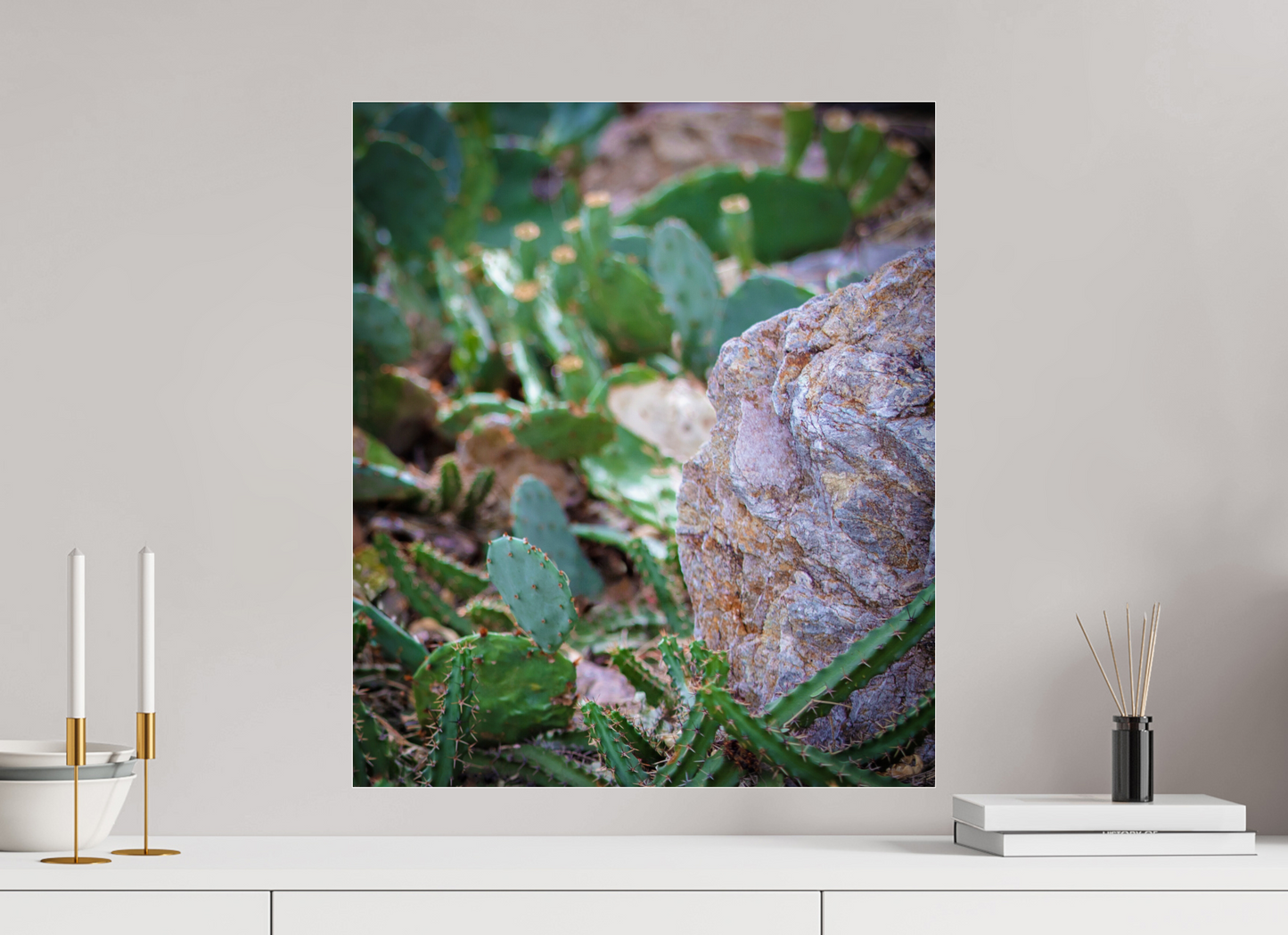 20 x 23.5″, Photo Print Under Acrylic Glass Cacti IV