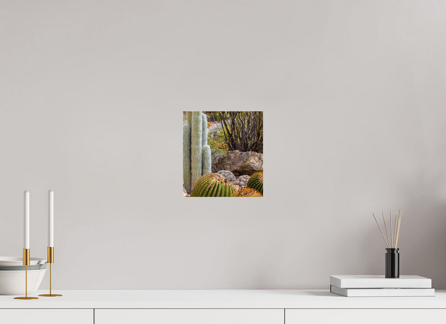 8 x 8.5″, Photo Print Under Acrylic Glass Cacti III Closeup