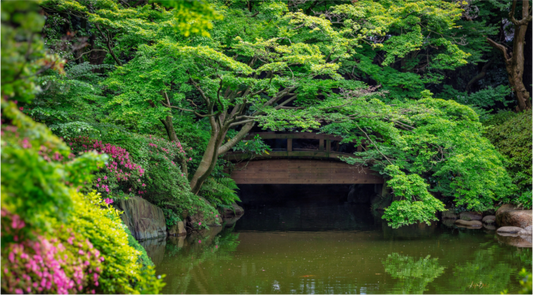 Main image Gardens of Tokyo V