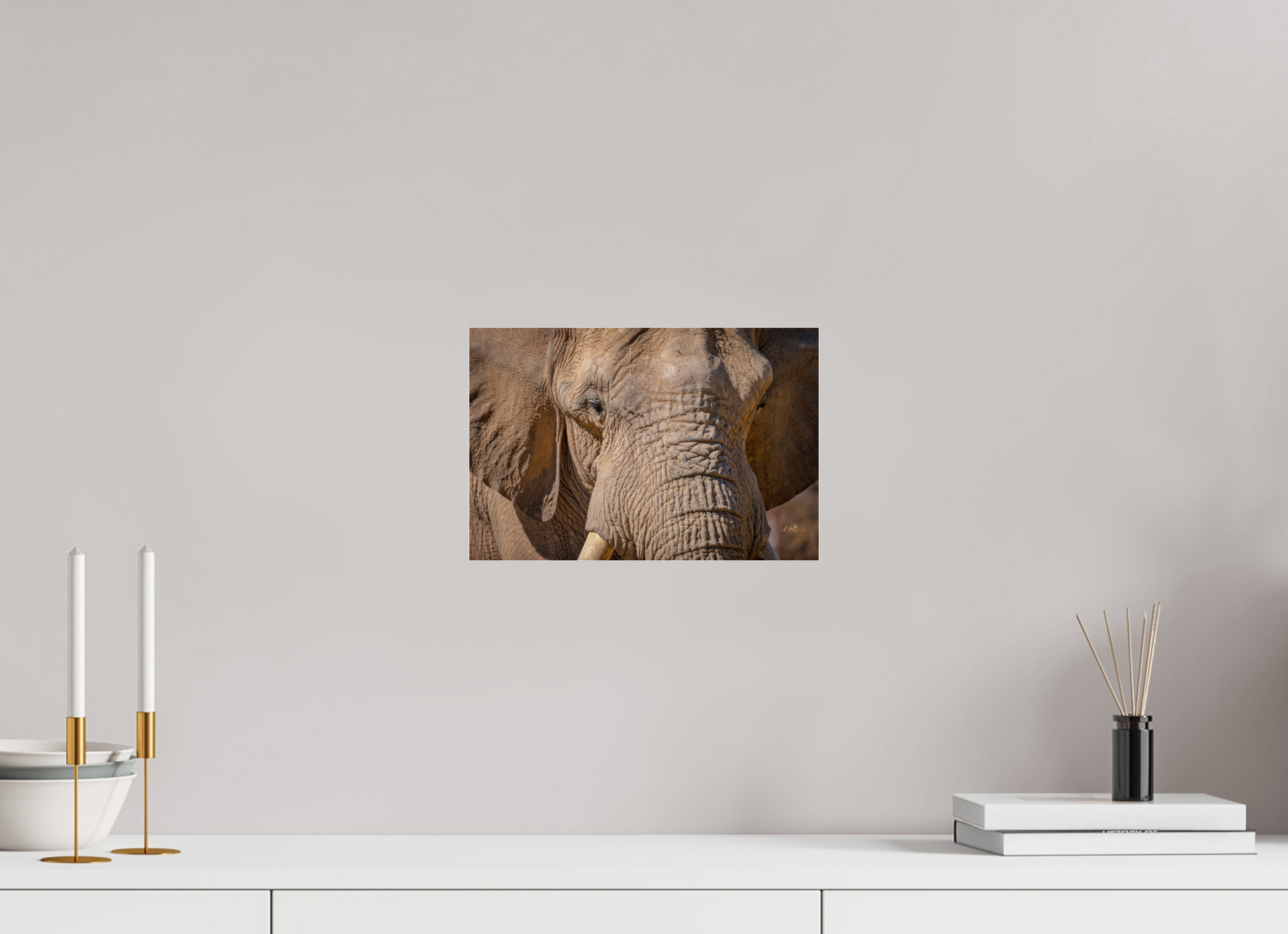12 x 8″, Photo Print Under Acrylic Glass Ellie All Ears