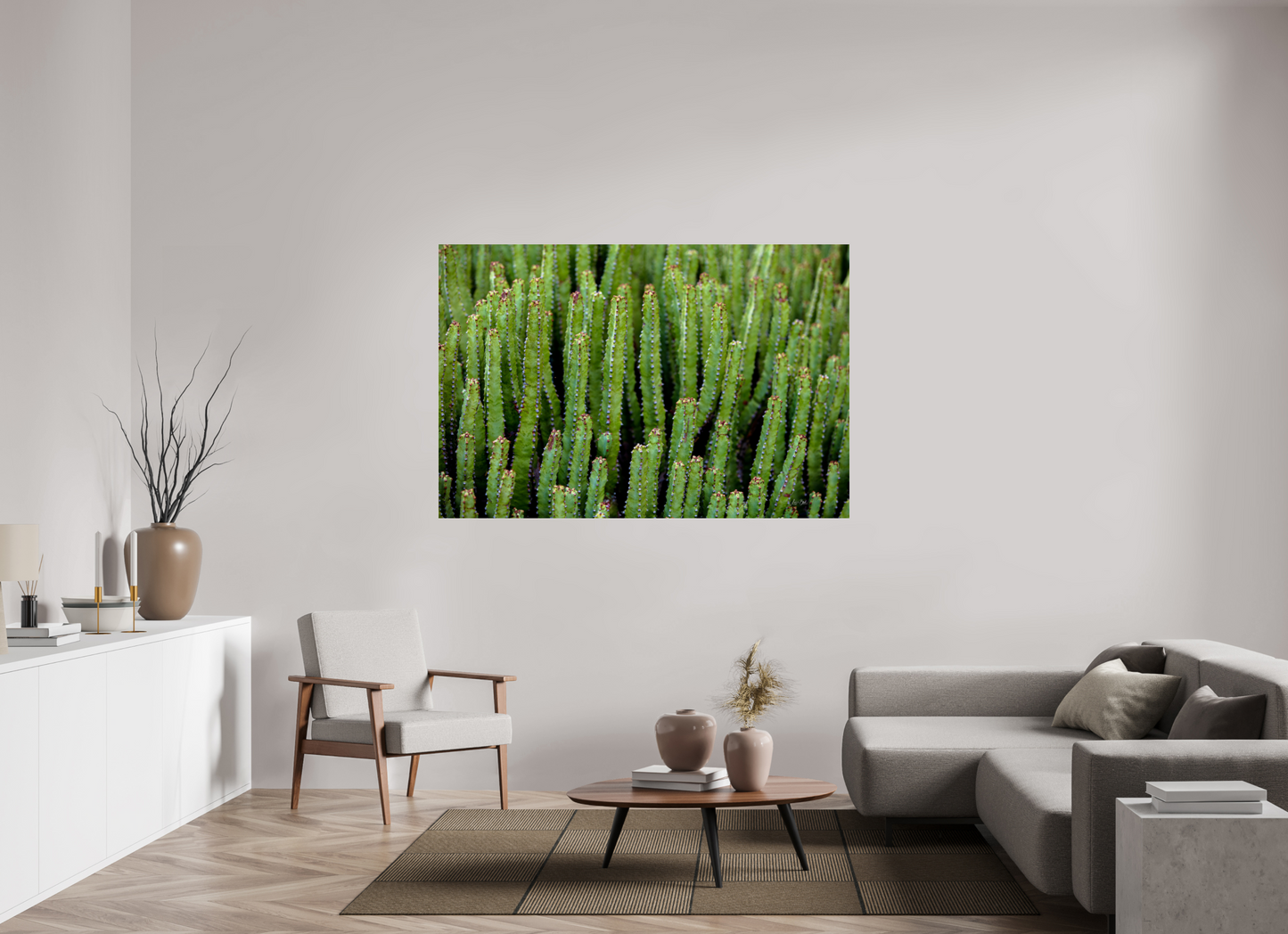 66 x 44″, Photo Print Under Acrylic Glass Cacti V