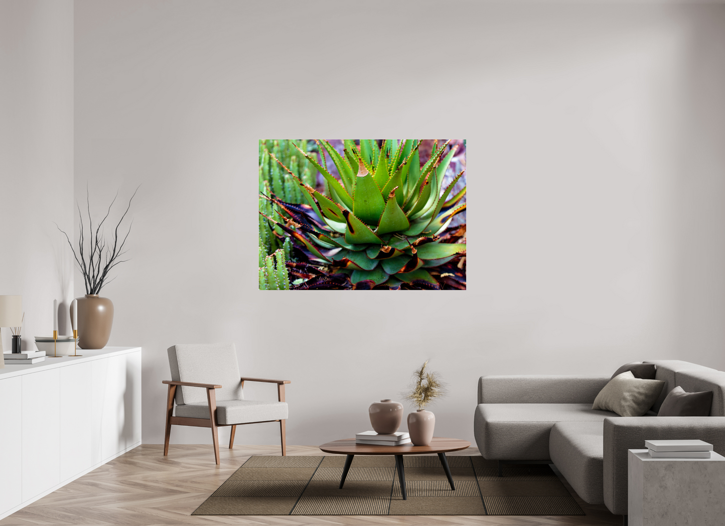 59.2 x 43″, Photo Print Under Acrylic Glass Cacti VI.2