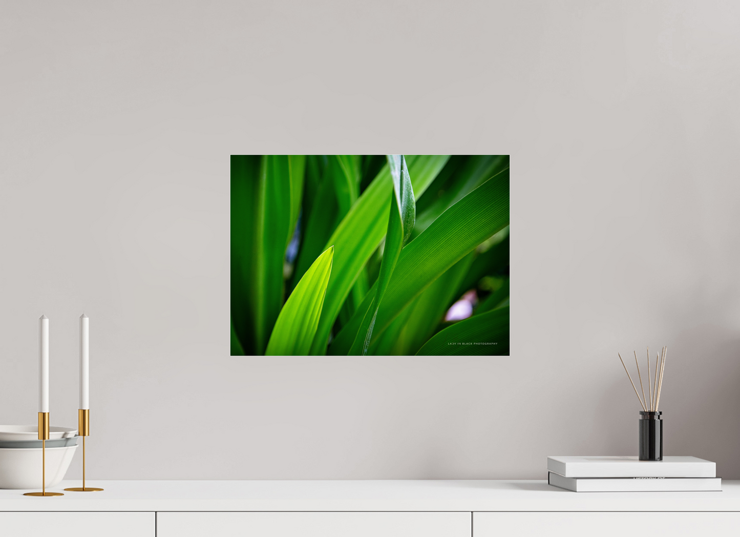 16.7 x 12″, Photo Print Under Acrylic Glass Blades of Peace