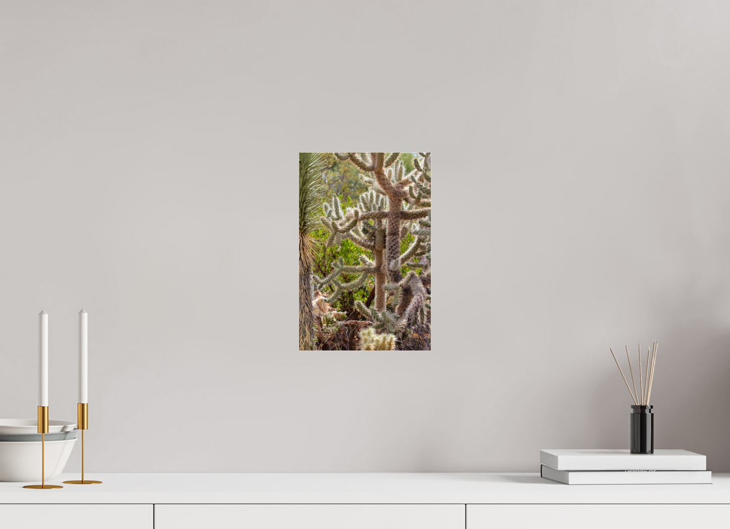 8 x 12″, Photo Print Under Acrylic Glass Cactus Wild Party
