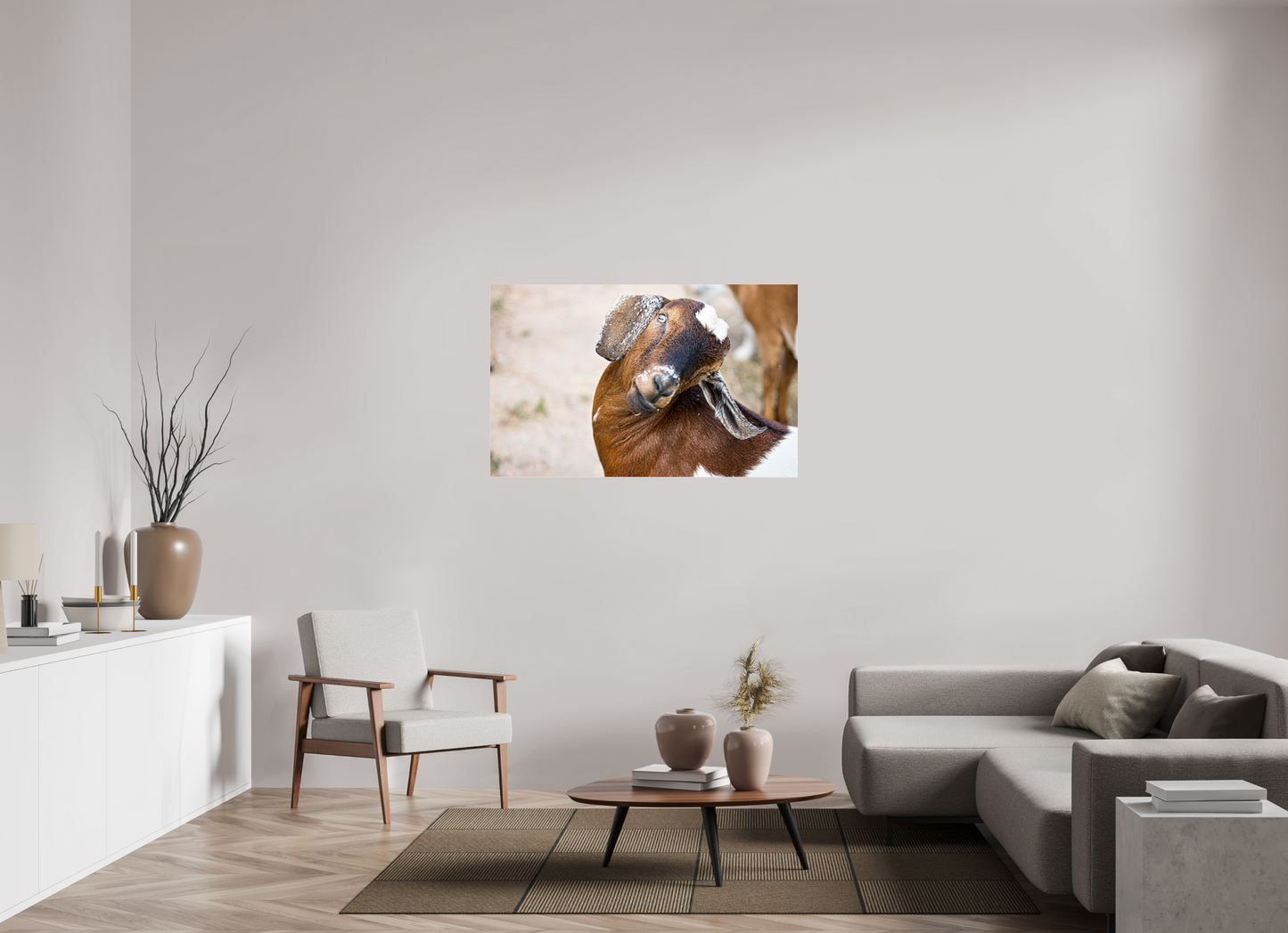 49.4 x 31″, Photo Print Under Acrylic Glass Goat Cheeeese