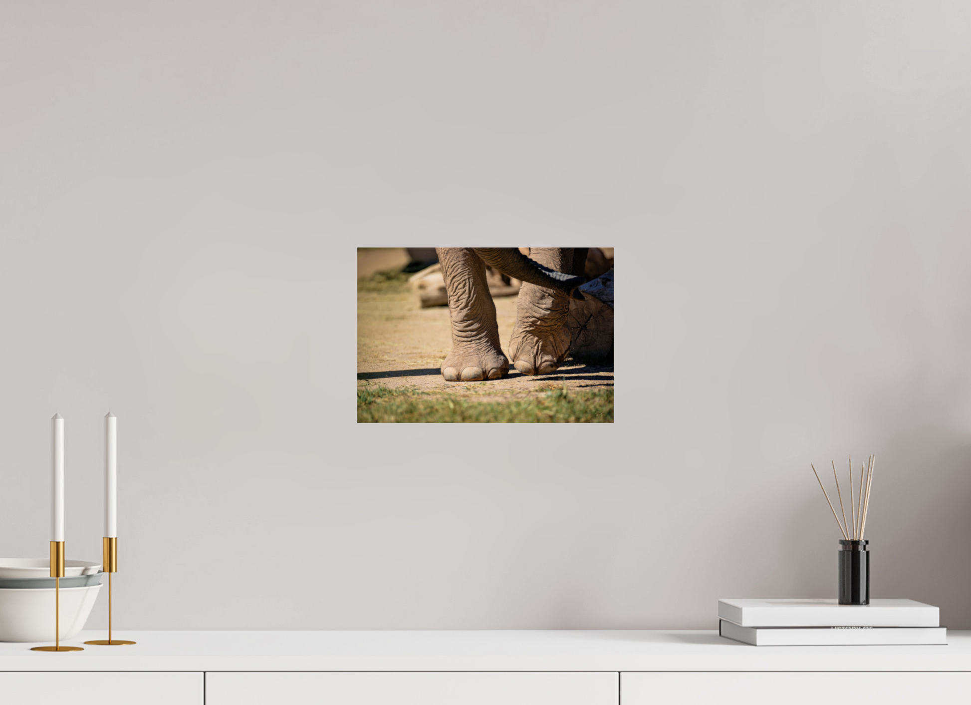 11.7 x 8″, Photo Print Under Acrylic Glass Ellie Struts