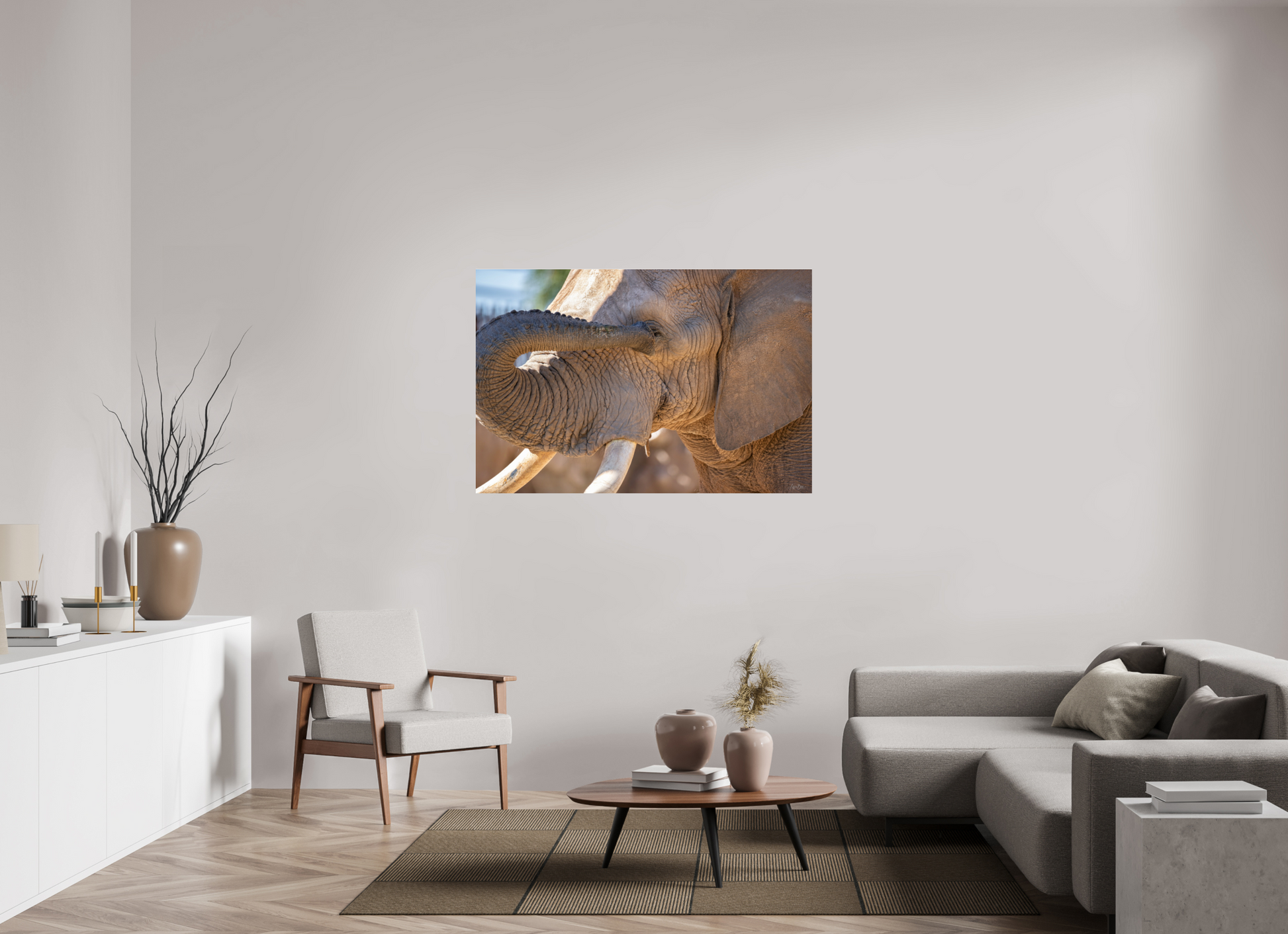 54 x 36″, Photo Print Under Acrylic Glass Bashful Ellie The Elephant