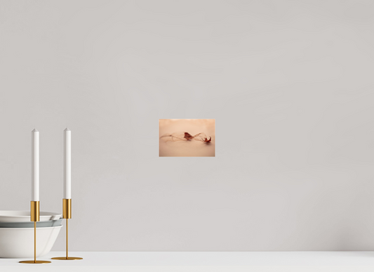 6 x 4″, Photo Print Under Acrylic Glass Leaf Left