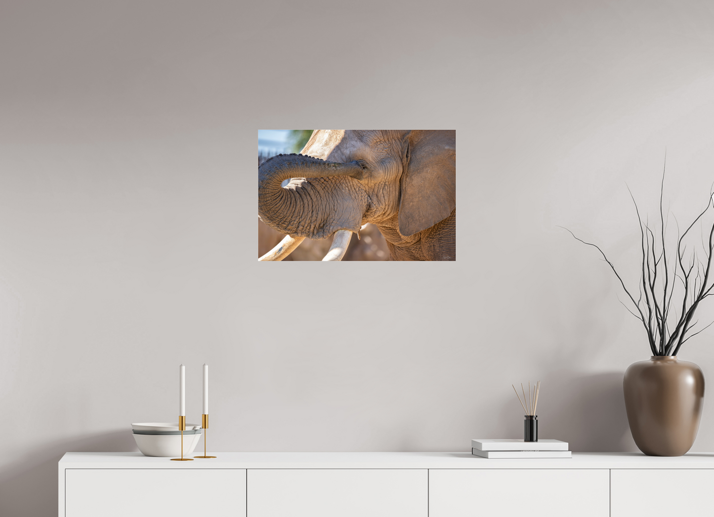 24 x 16″, Photo Print Under Acrylic Glass Bashful Ellie The Elephant