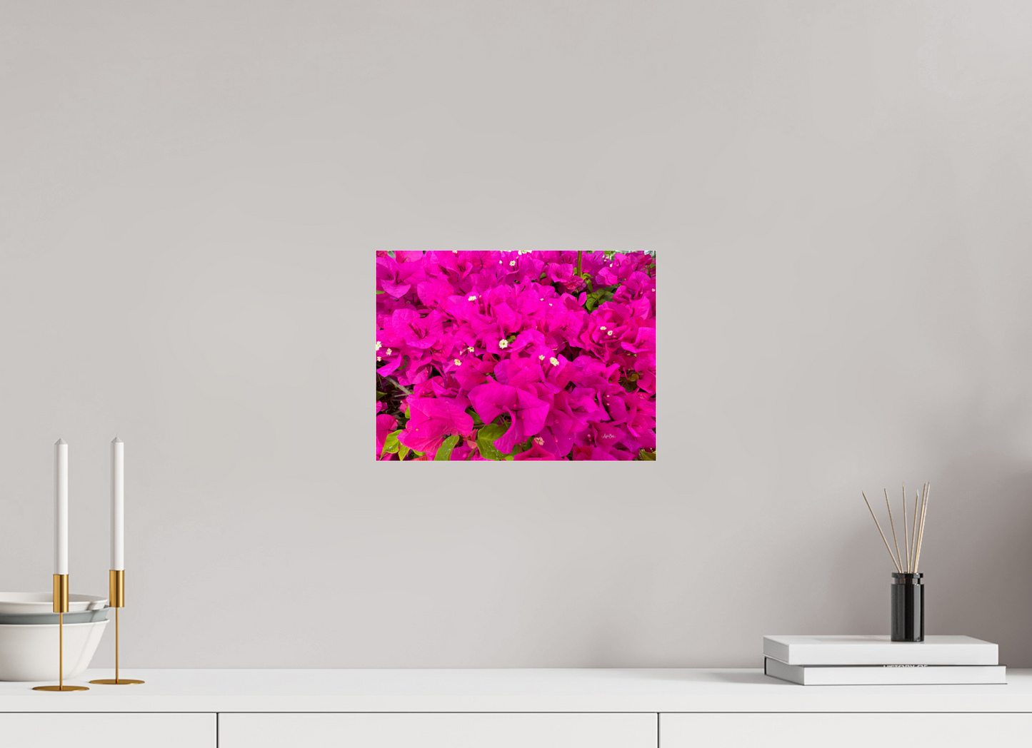 12 x 9″, Photo Print Under Acrylic Glass Gardens III