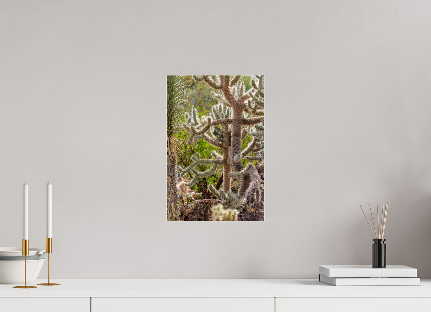 10 x 15″, Photo Print Under Acrylic Glass Cactus Wild Party