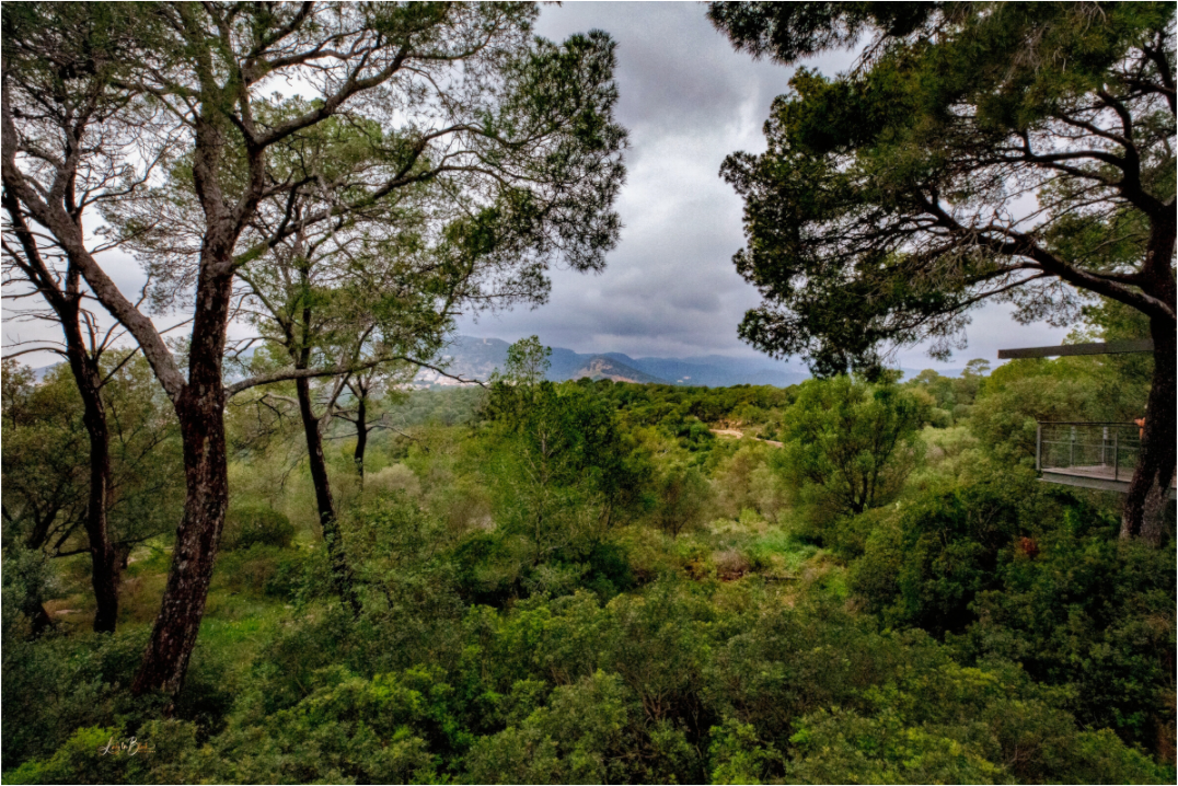 Main image Hillside View from SpainCastle Gardens