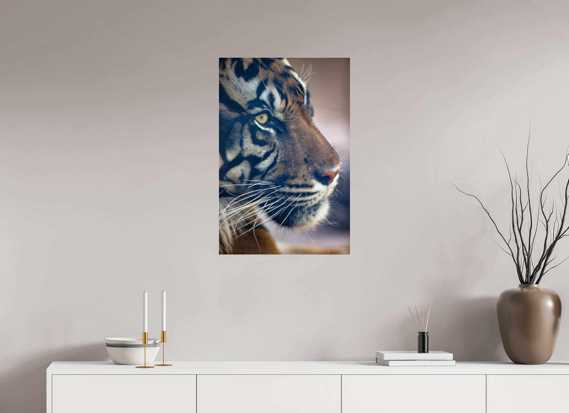 20 x 30″, Photo Print Under Acrylic Glass No Introduction Needed