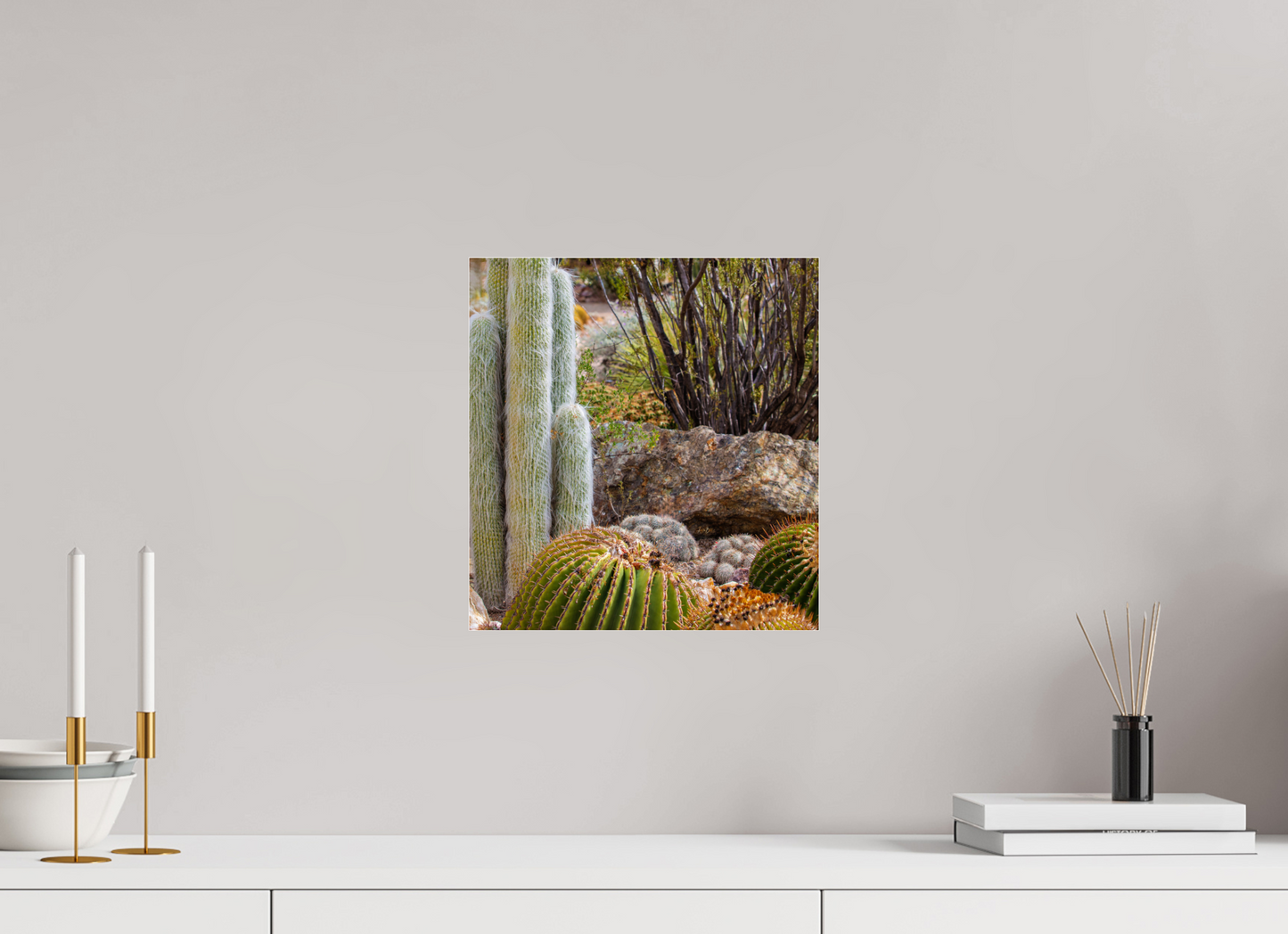 12 x 12.8″, Photo Print Under Acrylic Glass Cacti III Closeup