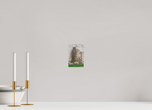 4 x 6″, Photo Print Under Acrylic Glass City Wall of Pisa