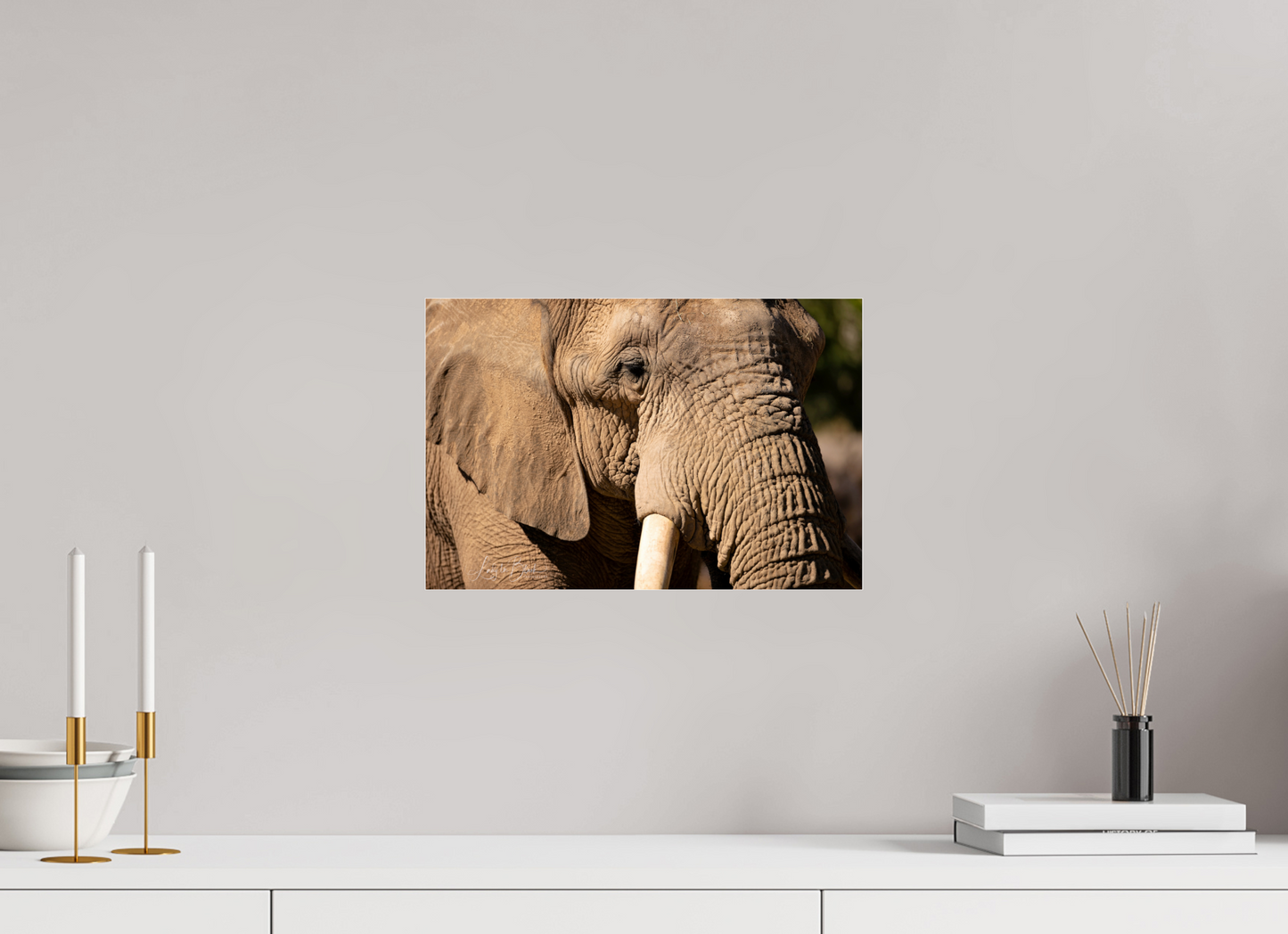 15 x 10″, Photo Print Under Acrylic Glass Ellie The Elephant