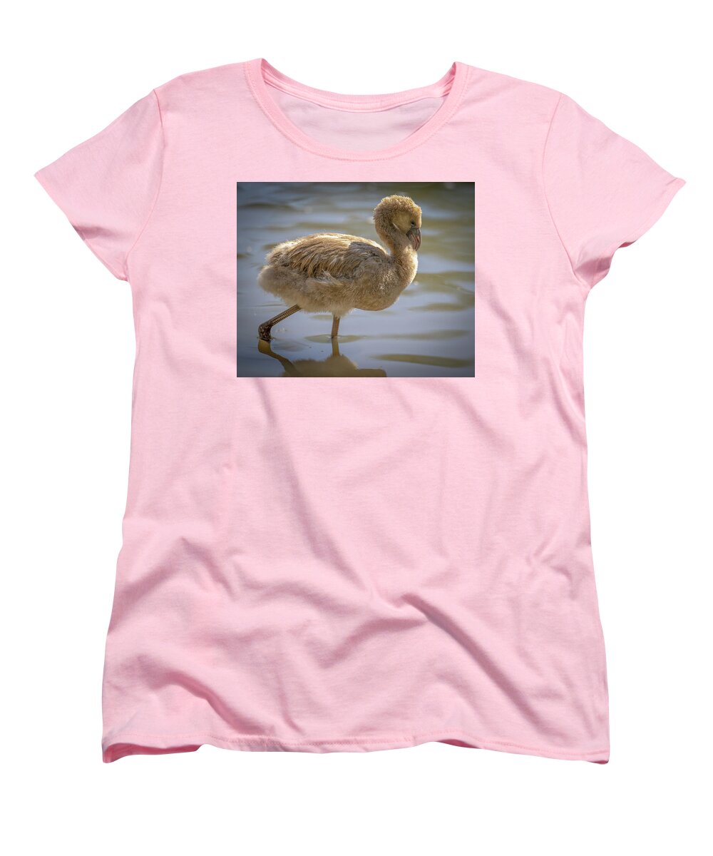 Baby Flamingo - Women's T-Shirt (Standard Fit)