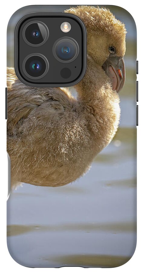 Baby Flamingo - Phone Case