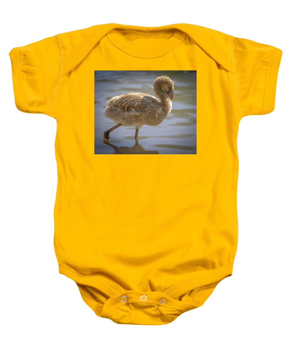 Baby Flamingo - Baby Onesie