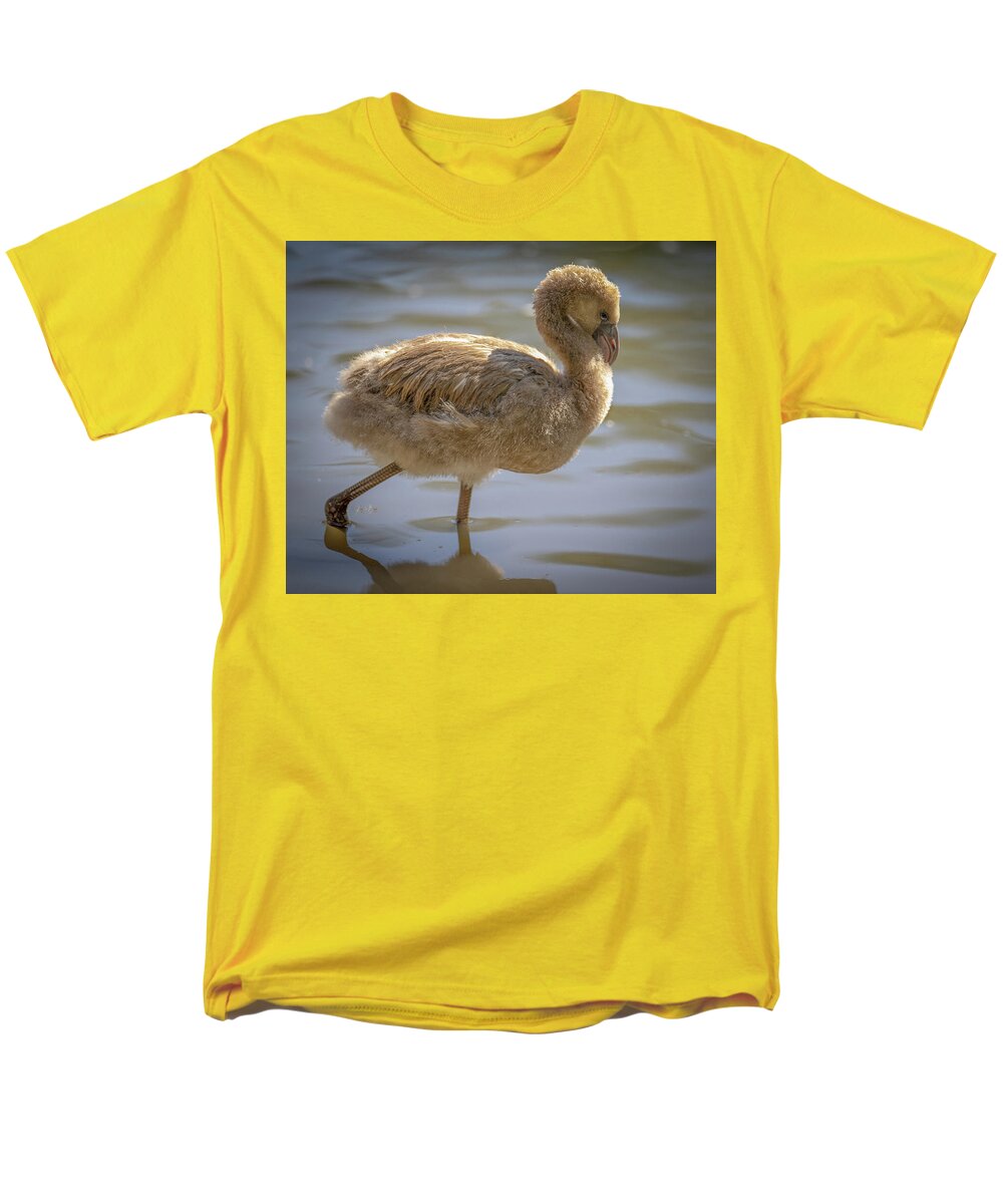 Baby Flamingo - Men's T-Shirt  (Regular Fit)