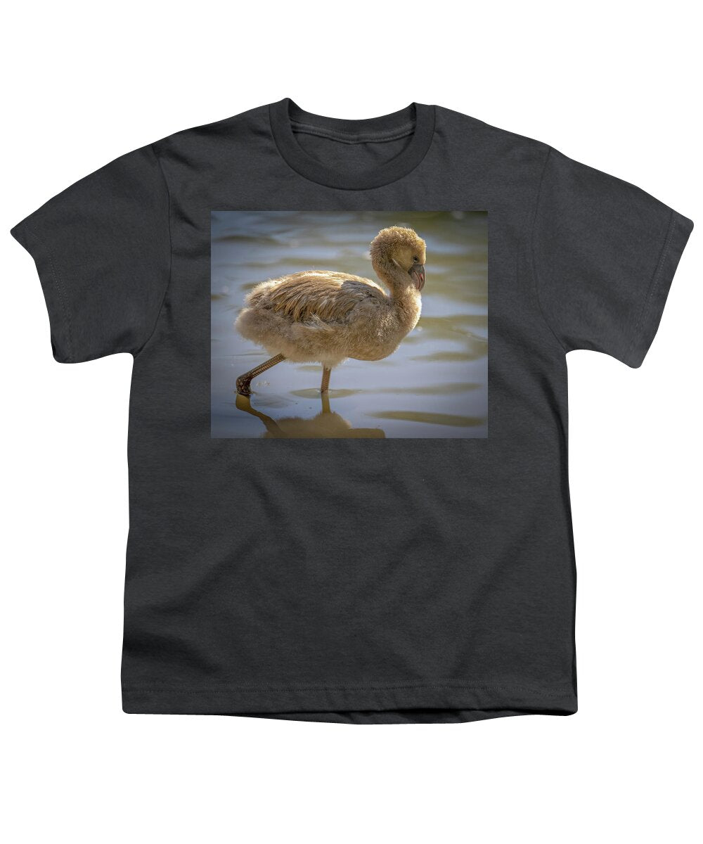 Baby Flamingo - Youth T-Shirt
