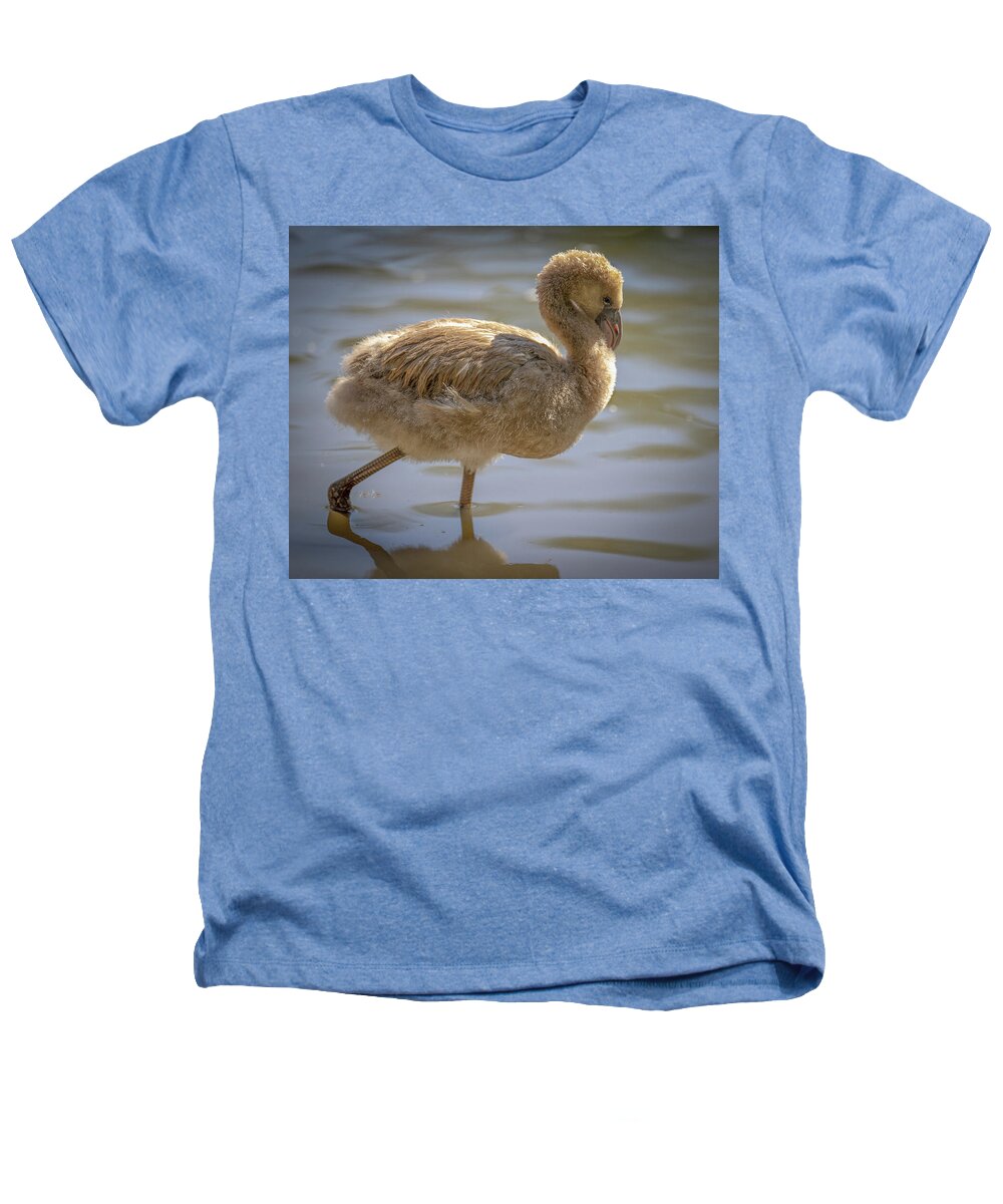 Baby Flamingo - Heathers T-Shirt