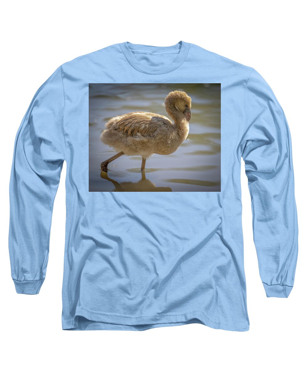 Baby Flamingo - Long Sleeve T-Shirt