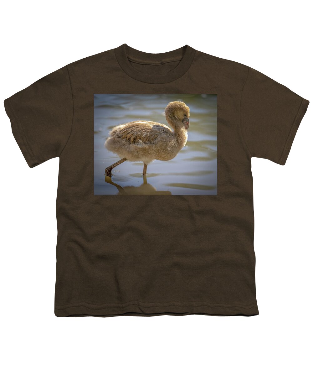 Baby Flamingo - Youth T-Shirt