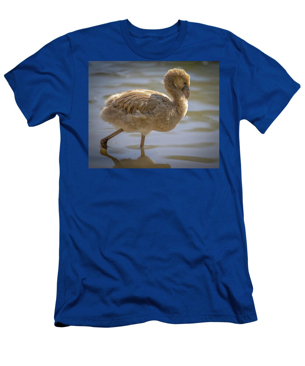 Baby Flamingo - T-Shirt