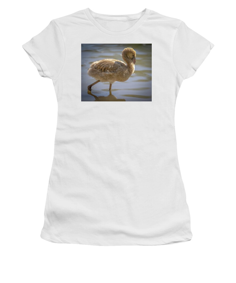 Baby Flamingo - Women's T-Shirt