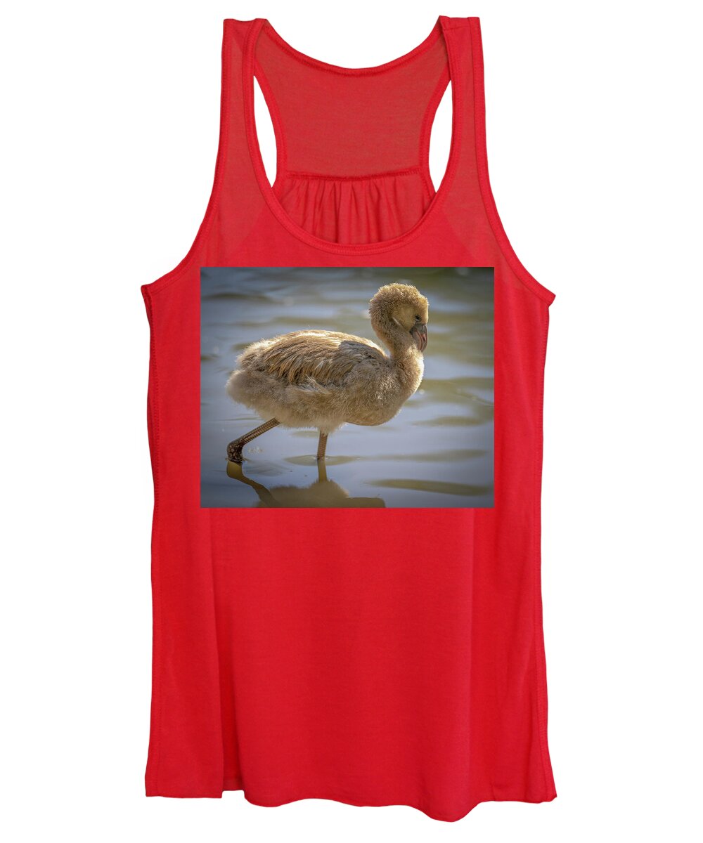 Baby Flamingo - Women's Tank Top