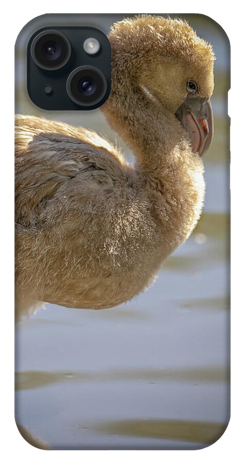 Baby Flamingo - Phone Case
