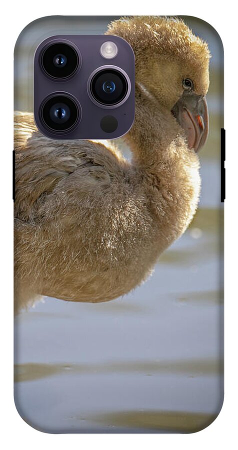 Baby Flamingo - Phone Case