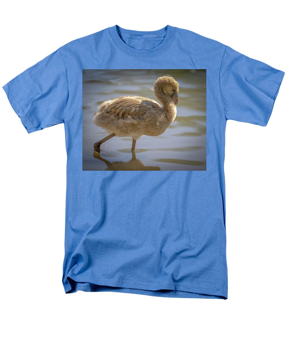Baby Flamingo - Men's T-Shirt  (Regular Fit)
