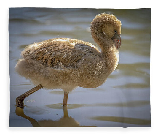 Baby Flamingo - Blanket