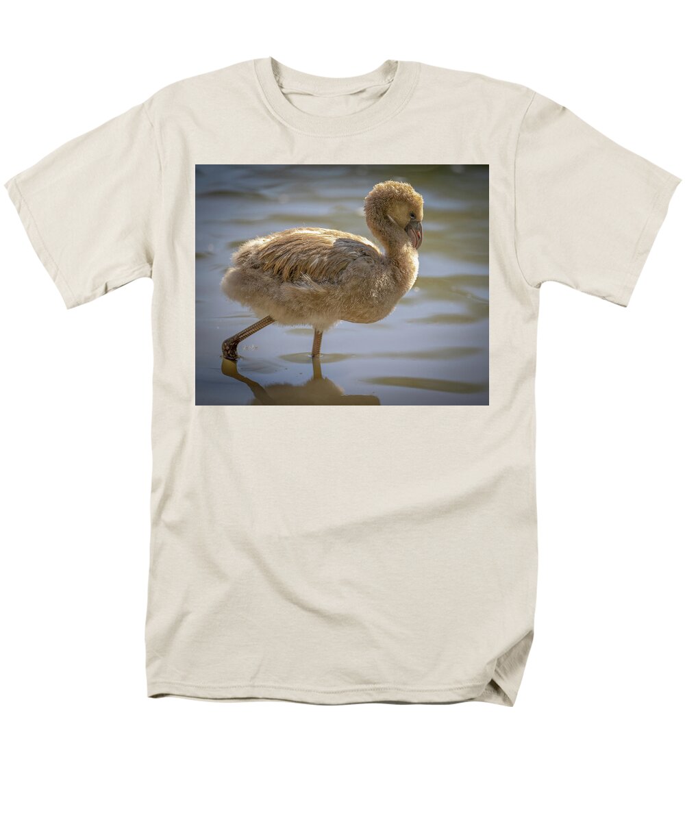 Baby Flamingo - Men's T-Shirt  (Regular Fit)
