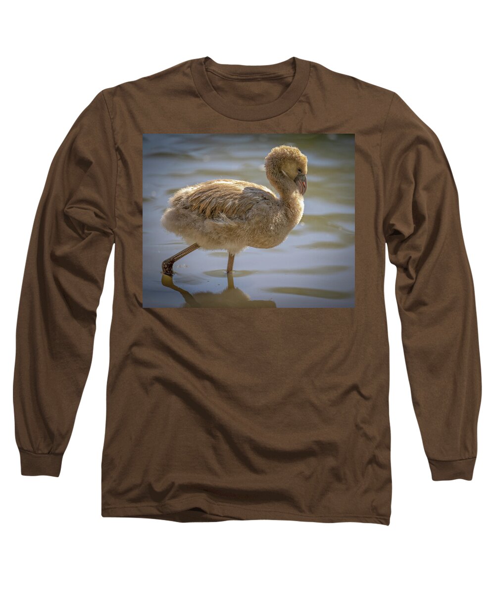 Baby Flamingo - Long Sleeve T-Shirt