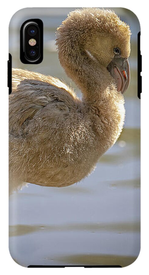 Baby Flamingo - Phone Case