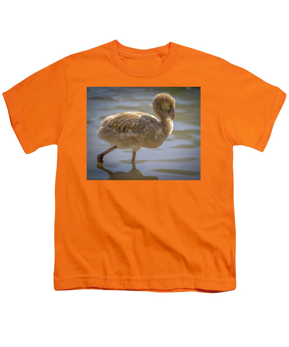Baby Flamingo - Youth T-Shirt