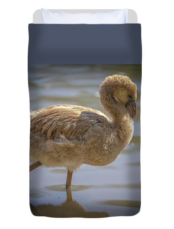 Baby Flamingo - Duvet Cover