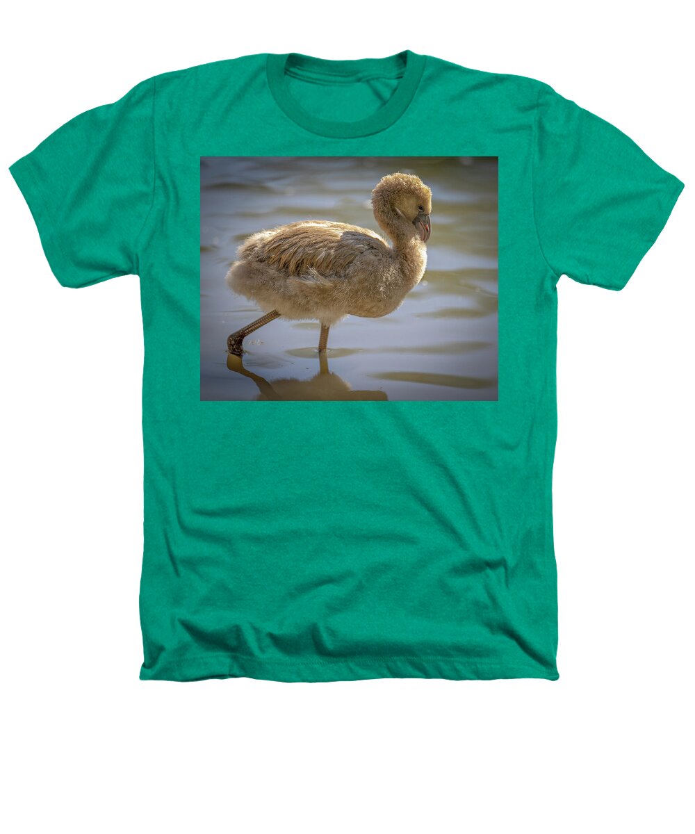 Baby Flamingo - Heathers T-Shirt