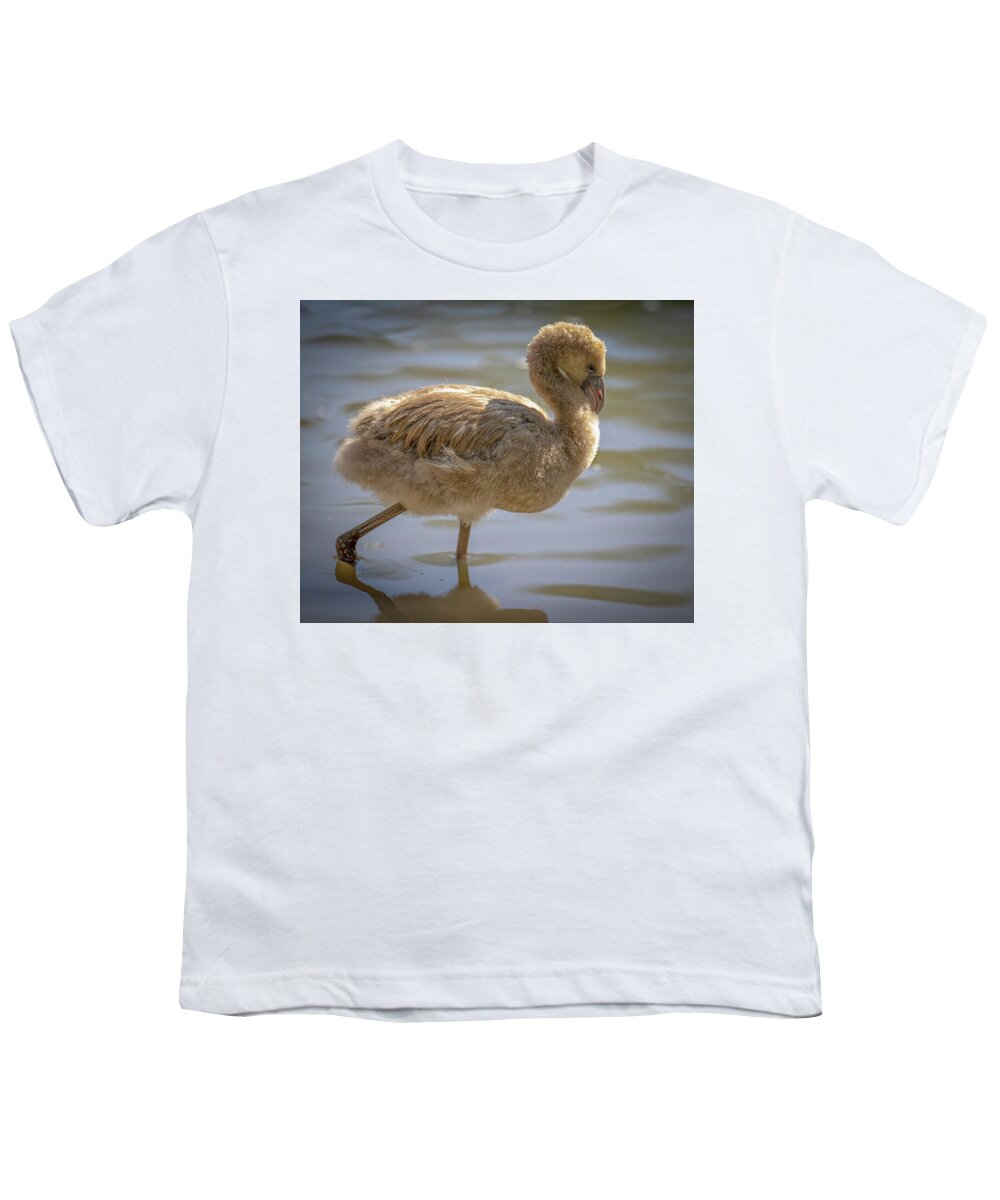 Baby Flamingo - Youth T-Shirt