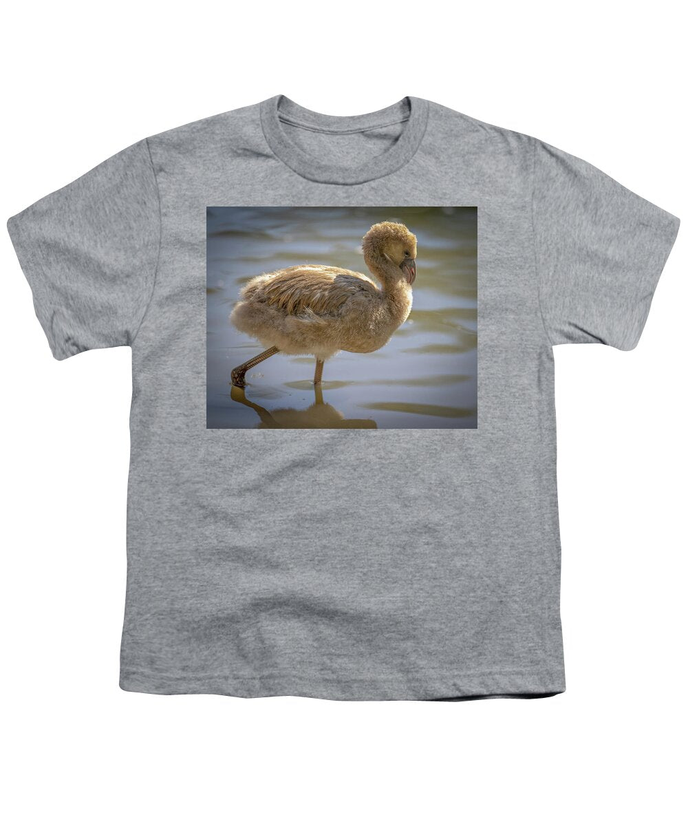 Baby Flamingo - Youth T-Shirt