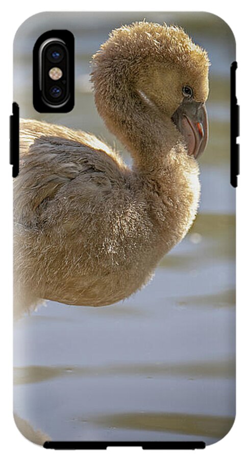 Baby Flamingo - Phone Case