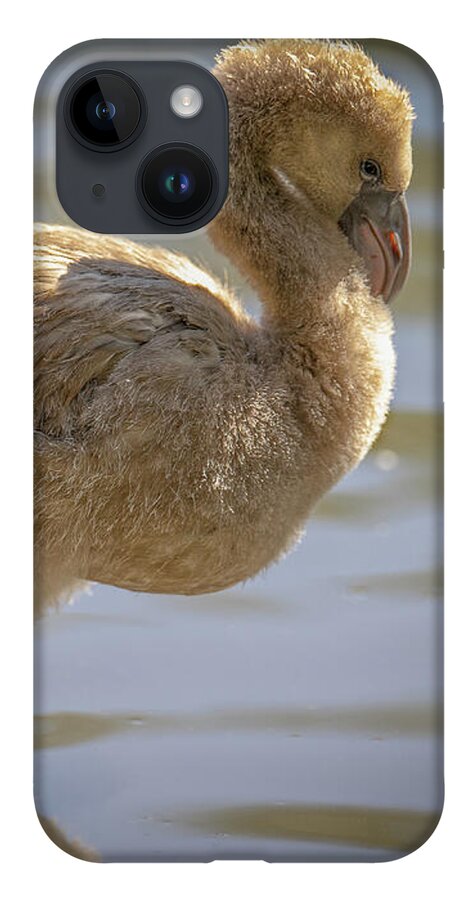 Baby Flamingo - Phone Case
