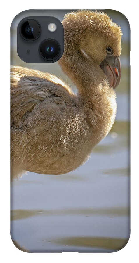 Baby Flamingo - Phone Case