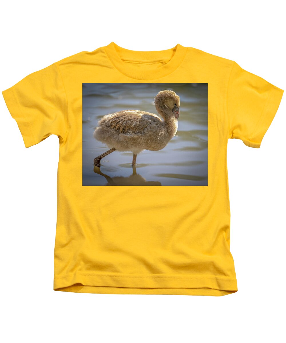 Baby Flamingo - Kids T-Shirt