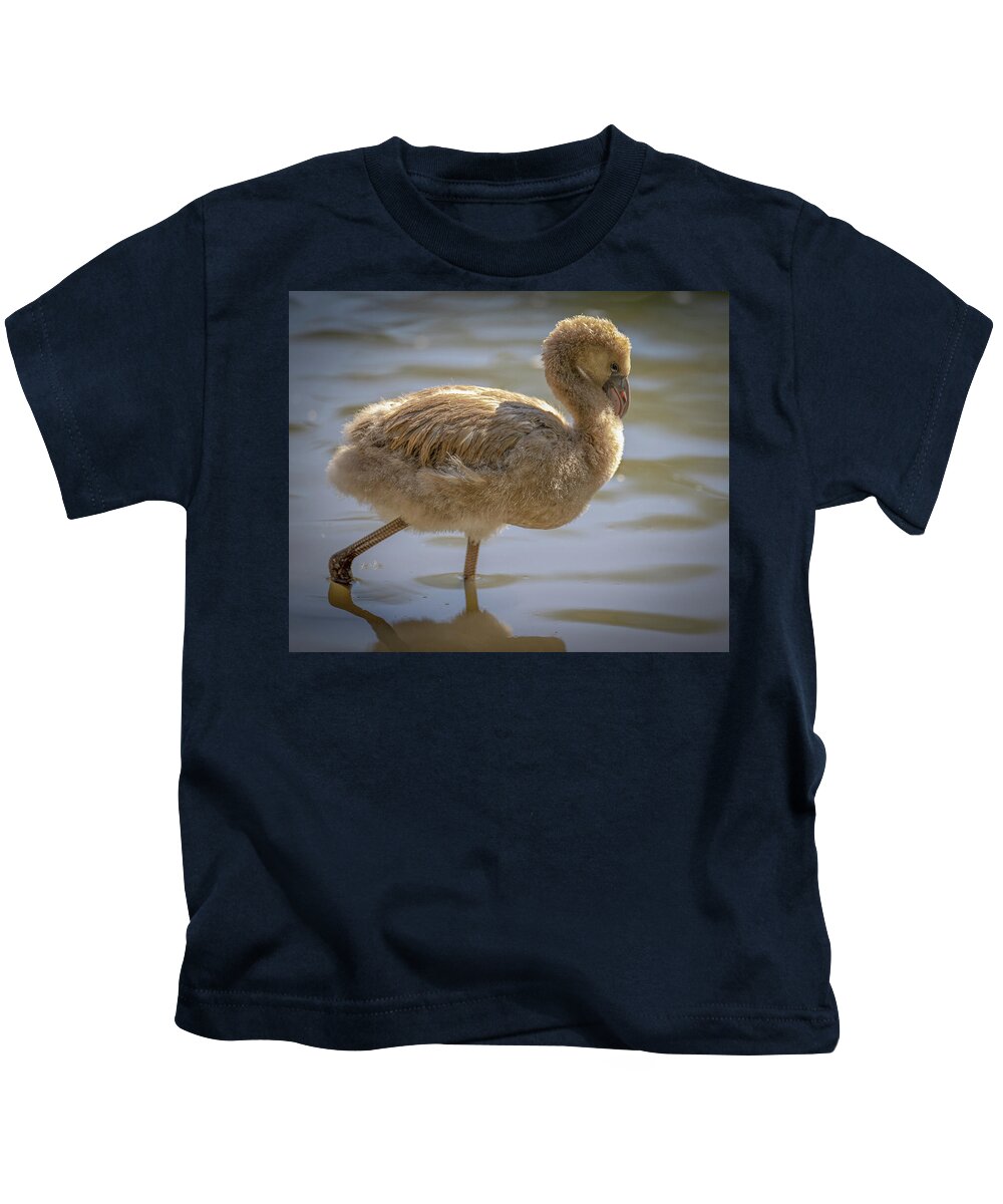 Baby Flamingo - Kids T-Shirt
