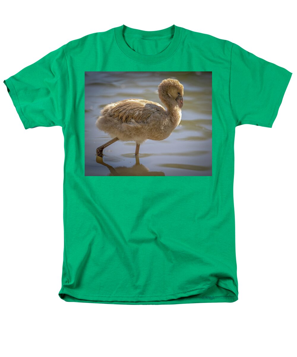 Baby Flamingo - Men's T-Shirt  (Regular Fit)