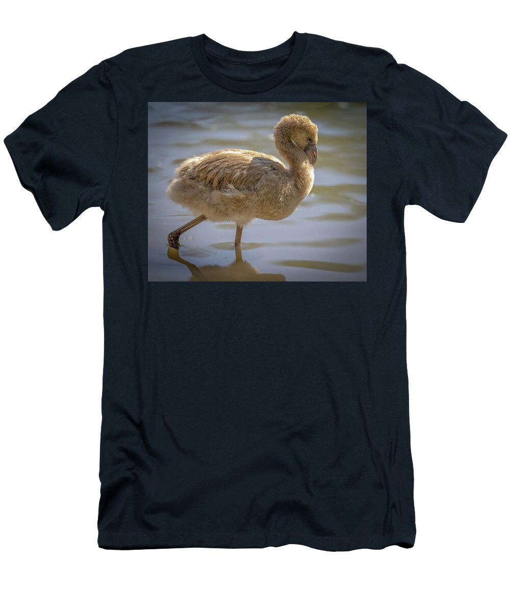 Baby Flamingo - T-Shirt